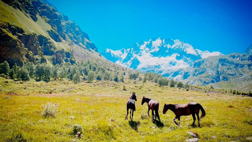 На Северном Кавказе отмечен рост популярности сельского туризма