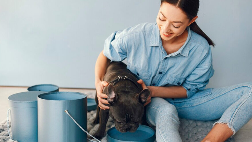 Россиян предупредили о введении уголовной ответственности за перекармливание домашних животных