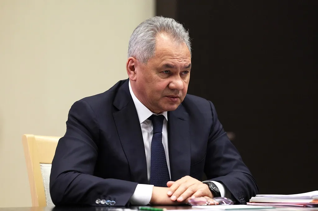 Шойгу заявил, что НАТО и ЕС готовят Запад к военному конфликту с Россией