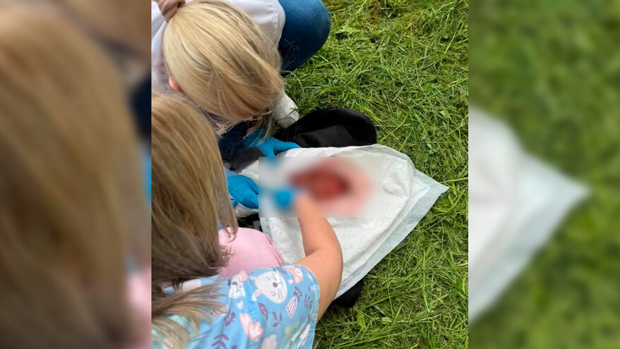 Новорожденную девочку в пакете нашли под окнами дома в Ленобласти