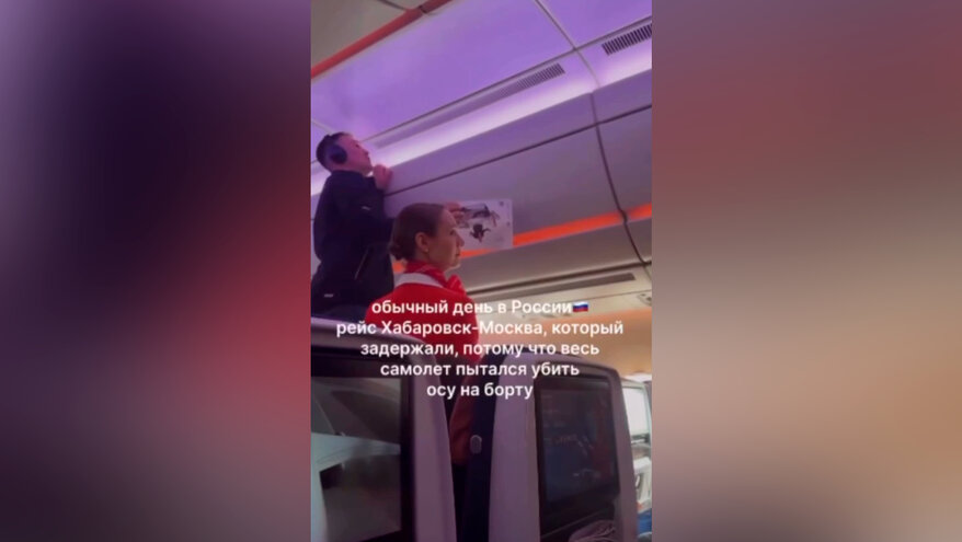 В Хабаровске самолет не мог вылететь в Москву 40 минут из-за осы