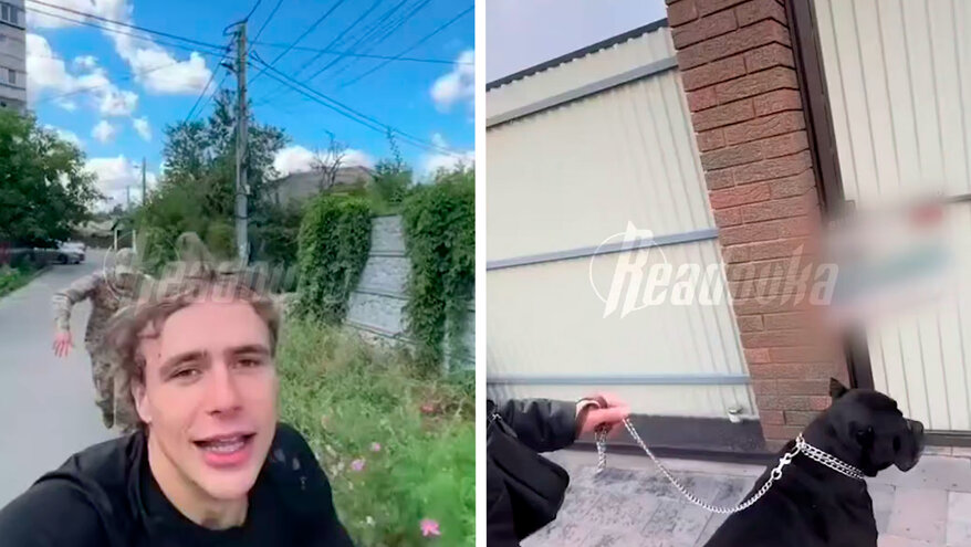 Украинские блогеры запустили тренд на глумливые ролики про ТЦК