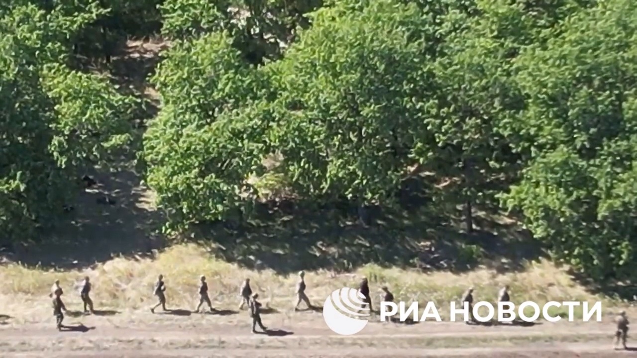 Крупная группа солдат ВСУ сдалась в плен в Курской области