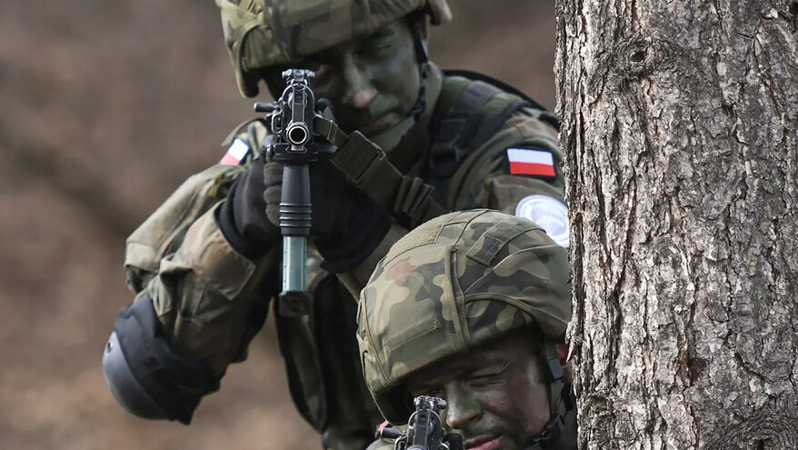 В Госдуме раскрыли потери Польши в ходе конфликта на Украине