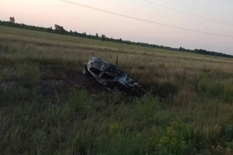 Парень на Lexus погиб сам и сгубил двух друзей после наезда на косулю на Алтае