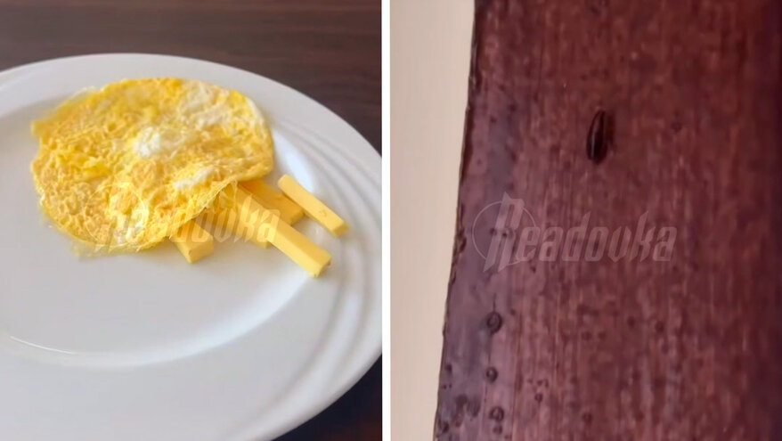 Отдых в Египте для россиянки обернулся кошмаром с домогательствами и тараканами