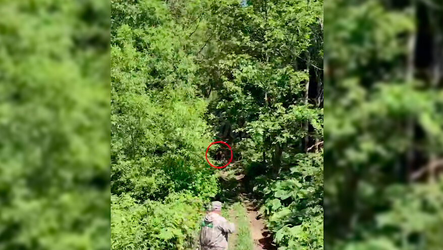 На Сахалине медведь загрыз 2 мужчин