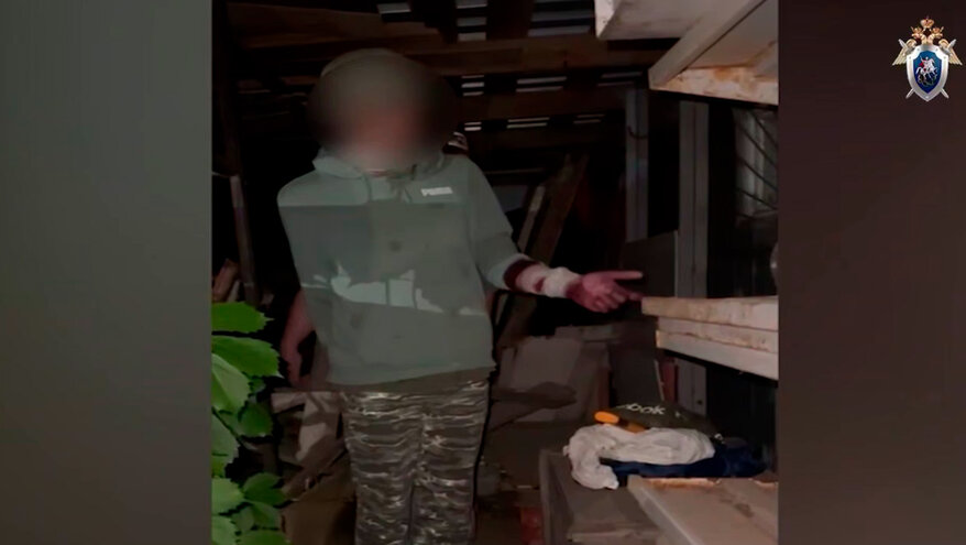 Подросток пытался убить молотком 2 девочек в подмосковном Домодедово