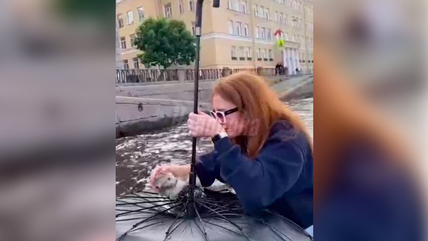 Котенок едва не утонул в водах канала Петербурга